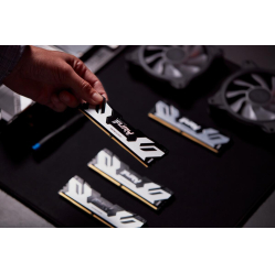 Pamięć KINGSTON 24GB 8000MHz DDR5 CL38 DIMM FURY Renegade Silver