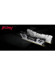 Pamięć KINGSTON 24GB 8000MHz DDR5 CL38 DIMM FURY Renegade Silver
