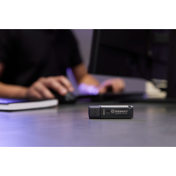 Pendrive KINGSTON IKLP50G2/256GB 256GB USB-A 3.2 Gen 1 IronKey Locker Plus 50 G2 FIPS 197 AES-256 czarny