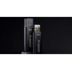 Pendrive KINGSTON IKLP50G2/256GB 256GB USB-A 3.2 Gen 1 IronKey Locker Plus 50 G2 FIPS 197 AES-256 czarny