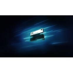 Dysk KINGSTON 30.72TB DC3000ME U.2 PCIe 5.0 NVMe TCG Opal Enterprise SSD