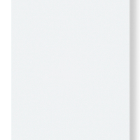 Dysk zewnętrzny SEAGATE Game Drive for PlayStation 1TB SSD