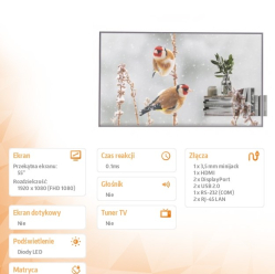 Monitor wielkoformatowy LG Electronics 55EW5P-M 55 16:9 0.1ms OLED transparent 