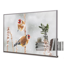 Monitor wielkoformatowy LG Electronics 55EW5P-M 55 16:9 0.1ms OLED transparent 
