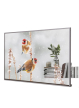 Monitor wielkoformatowy LG Electronics 55EW5P-M 55 16:9 0.1ms OLED transparent 