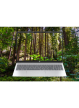 Laptop HP OmniBook 5 16 2K IPS AG Ryzen AI 7 350 512GB Radeon 860M 59Wh Win11 Glacier Silver 2Y