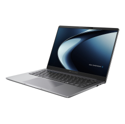 Laptop ASUS ExpertBook P3 PM3406CKA-LY0291W 14 WUXGA Copilot+ Ryzen AI 5 330 16GB 512GB Wi-Fi 7 802.11be W11H Szary