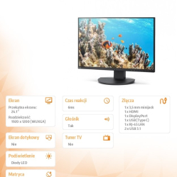 Sharp Monitor MultiSync DD-EA242W 24.1 cala czarny
