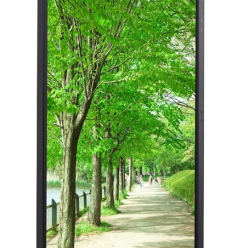 Sharp Monitor MultiSync EA272QB 27 cali czarny