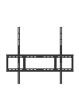 Optoma Monitor wielkoformatowy 98 cali IFPD N3981K H1F2COIBW101 