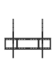 Optoma Monitor wielkoformatowy IFPD N3861K 86 cali H1F2COHBW101 