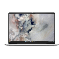 Dell Dell Pro 16 PC16250 W11P U5 225U 16GB 512GB FgrPr&SmtCd Cam&Mic WLAN+BT 16.0 FHD+ 400nit BcklKb 3C 3YPS Platinum 