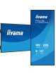 Monitor wielkoformatowy IIYAMA ProLite LH10552UWS-B1AG 105 21:9 5K 24/7 IPS HDMI 500cd 8ms 