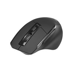 Mysz Tracer Cozy RF 2.4 GHz 
