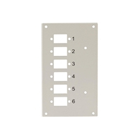Panel przedni TECHLY 109825 do przelacznicy na 6 adapterow