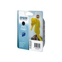 Tusz EPSON T048 BLACK BR FOR R300