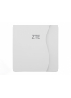 ZTE Router MF258 + IDU Wifi6