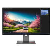 Monitor LENOVO ThinkVision P32UD-40 31.5 UHD HDMI DP USB