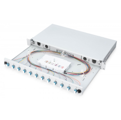 Digitus Przełącznica światłowodowa/panel krosowy z wyposażeniem 19 cali 1U, 12x LC duplex, OS2, zawiera pigtaile, adaptery, tacki, wysuwany, Szary