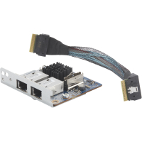 Dual Port 10GBase-T NIC Module G2