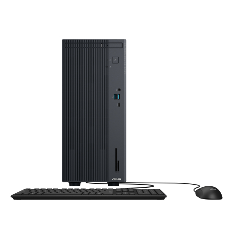 Komputer ASUS ExpertCenter PM5 MT PM500MH-0R5220046X Ryzen R5 220 16GB 512GB W11P