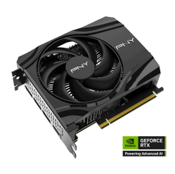 PNY GeForce RTX 5060 8GB 1F VCG50608SFXPB1