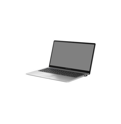 Laptop Laptop Asus ExpertBook P1 P1503CVAY-S73342X 15.6 FHD Core 7-240H 16GB 512GB W11P 3y Szary