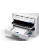 Drukarka Epson EP-C800RDW kolor A4 34ppm 3.8pl (W)LAN PCL6 