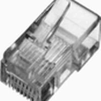 Wtyk Assmann X-ML-5U-IMP RJ45 kat.5e UTP 8P8C uniwersalny 100szt