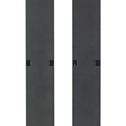 APC Hinged Covers for NetShelter SX 750mm Wide 42U Vertical Cable Manager(Qty 2)