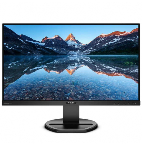 Monitor Philips 252B9 25' ' IPS WUXGA D-Sub DVI-D DP HDMI