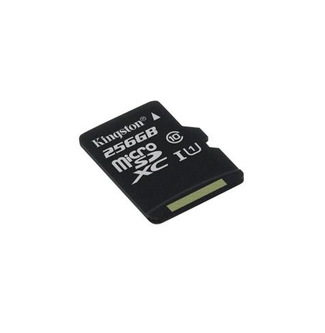 Karta pamięci Kingston 256GB microSDXC Canvas Select 80R CL10 UHS-I Single Pack w/o Adapter