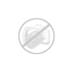 Karta graficzna MSI GeForce RTX 4060 VENTUS 2X BLACK 8GB